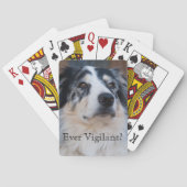 Foto van Cute Australian Shepherd Sjabloon Speelkaarten (Achterkant)