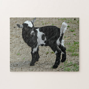 Foto van Cute Black en White Baby Goat Legpuzzel