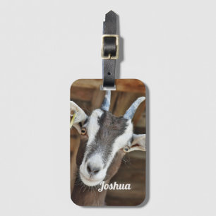 Foto van Cute Brown en White Goat Bagagelabel