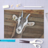 Foto van Cute Brown en White Goat Tissuepapier (Craft)