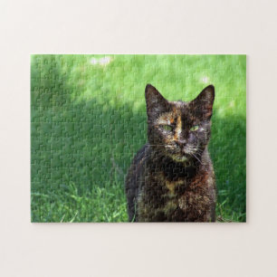 Foto van Cute Brown Tortoiseshell Legpuzzel