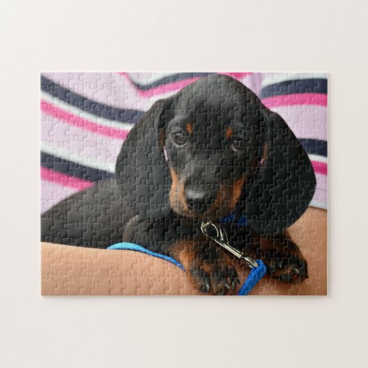 Foto van Cute Dachshund Puppy Legpuzzel (Horizontaal)