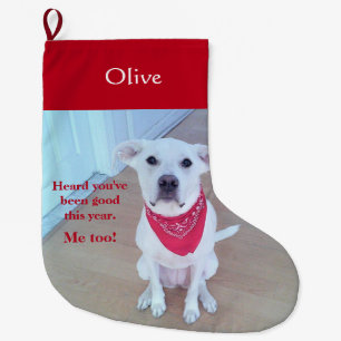Foto van Cute Dog met grappige blik op Ears Red Grote Kerstsok