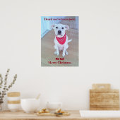 Foto van Cute Dog met grappige oorlogen die rood z Poster (Keuken)