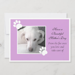 Foto van Cute Dog Paarse Moederdag Poot Frame Feestdagenkaart