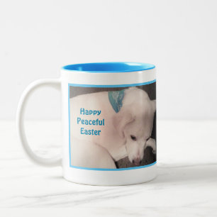 Foto van Cute Dog Peacely Resting Blue Easter Tweekleurige Koffiemok