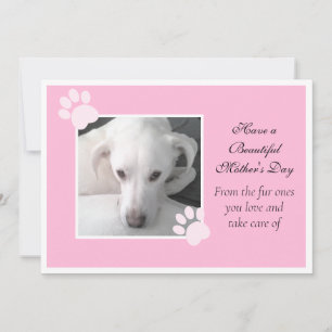 Foto van Cute Dog Roze Moederdag Poot Frame Feestdagenkaart