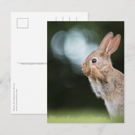 Foto van Cute Easter Bunny Briefkaart (Voorkant / Achterkant)