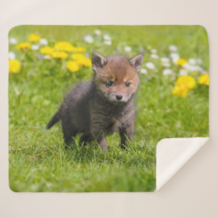 Foto van Cute Fluffy Red Fox Kit Cub Wild Baby Ani Sherpa Deken