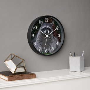 Foto van Cute Forest Raccoon Wildlife