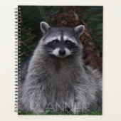 Foto van Cute Forest Raccoon Wildlife Planner (Voorkant)