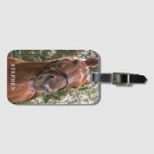 Foto van Cute Funny Horse Bagagelabel (Voorkant (horizontaal))