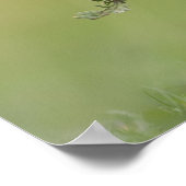 Foto van Cute Goose Chick Natuur Poster (Hoek)