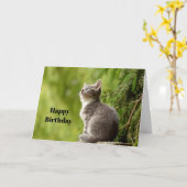 Foto van Cute Grey Kitten op Birthday Kaart (Gele Bloem)