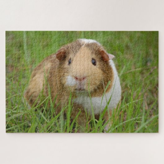 Foto van Cute guinea Legpuzzel (Horizontaal)
