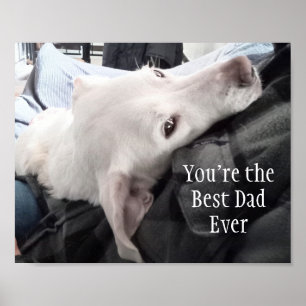 Foto van Cute Hond Beste Papa Ooit Poster
