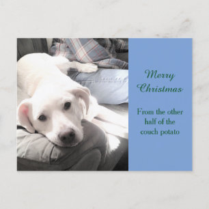 Foto van Cute Lazy Labrador Mix en Dad Light Blue Feestdagenkaart
