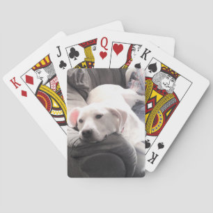 Foto van Cute Lazy White Dog Hanging Out on Couch Pokerkaarten