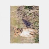 Foto van Cute lion cub in Afrika Fleece Deken (Voorkant)