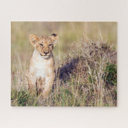 Foto van Cute lion cub in Afrika Legpuzzel (Horizontaal)