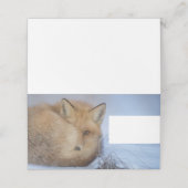 Foto van Cute Little Fox gekrompen in Winter (Buitenkant ongevouwen)