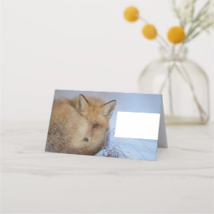 Foto van Cute Little Fox gekrompen in Winter