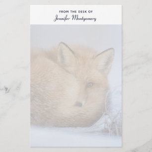 Foto van Cute Little Fox gekrompen in Winter Briefpapier