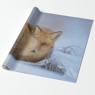 Foto van Cute Little Fox gekrompen in Winter Cadeaupapier