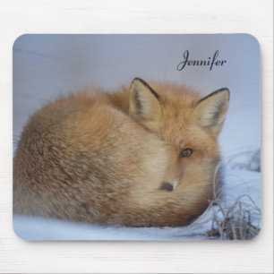 Foto van Cute Little Fox gekrompen in Winter Muismat