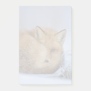 Foto van Cute Little Fox gekrompen in Winter Post-it® Notes