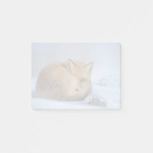 Foto van Cute Little Fox gekrompen in Winter Post-it® Notes