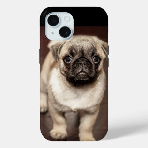 Foto van Cute Pug