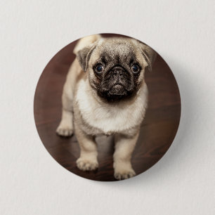 Foto van Cute Pug Ronde Button 5,7 Cm