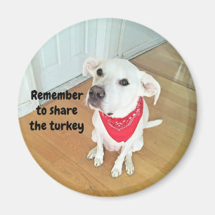 Foto van Cute Pup Dog met Funny Ears die uitkijken Magneet