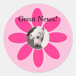 Foto van Cute Puppy Dog in Roze Mum Lijst Ronde Sticker