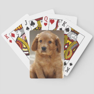 Foto van Cute Puppy Portret Pokerkaarten
