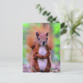 Foto van Cute Red Squirrel Briefkaart (Staand voorkant)