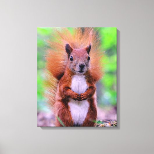 Foto van Cute Red Squirrel Canvas Afdruk (Voorkant)