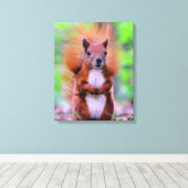 Foto van Cute Red Squirrel Canvas Afdruk (Insitu (Houten vloer))