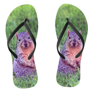 Foto van Cute Squirrel Wildlife Teenslippers