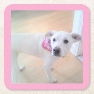Foto van Cute Sweet White Puppy Dog Face Pink Vierkante Kartonnen Onderzetter