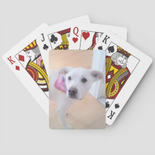Foto van Cute Sweet White Puppy Dog Face Pokerkaarten