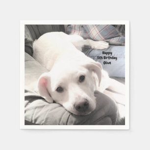 Foto van Cute Tired White Dog op Couch met Dad Servet