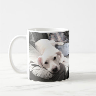 Foto van Cute White Dog Hangen uit met papa Coffe Koffiemok