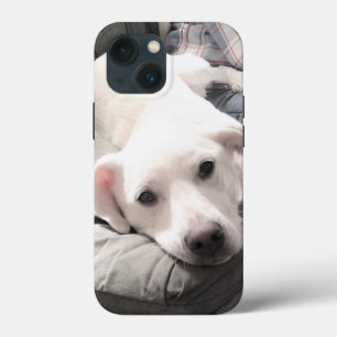 Foto van Cute White Dog Hanging Out with Dad iPhone 13 Mini Hoesje