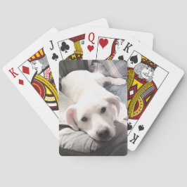 Foto van Cute White Dog Hanging Out with Dad Pokerkaarten