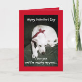 Foto van Cute White Dog Valentijnsdag Funny Kaart (Voorkant)