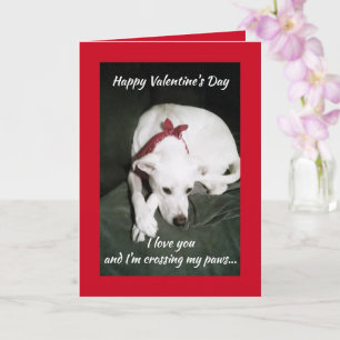 Foto van Cute White Dog Valentijnsdag Funny Kaart