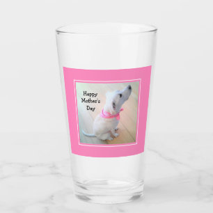 Foto van Cute White Dog Wearing Pink Scarf Glas
