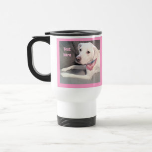 Foto van Cute White Labrador Mix Dog met Scarf Tr. Reisbeker
